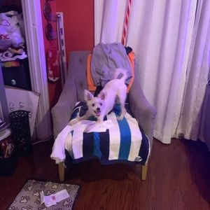 Meet your Posher, Flor